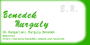 benedek murguly business card
